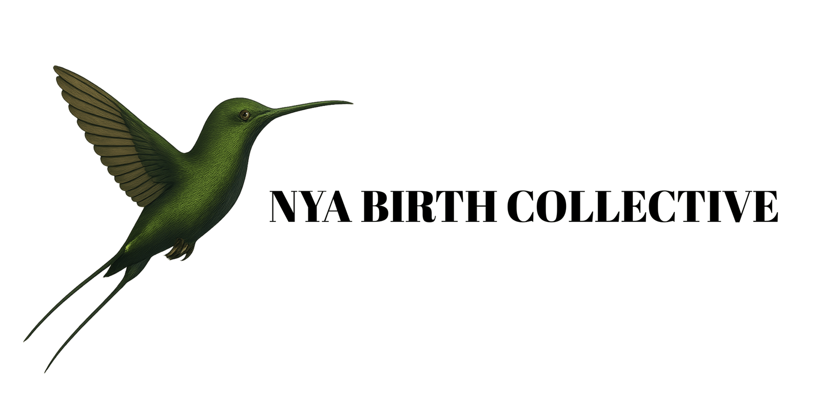 nyabirthcollective.com